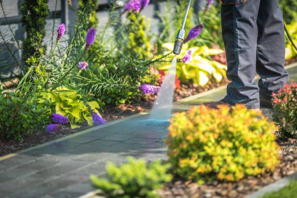 Professional Pressure Washing in Rosenhayn, NJ