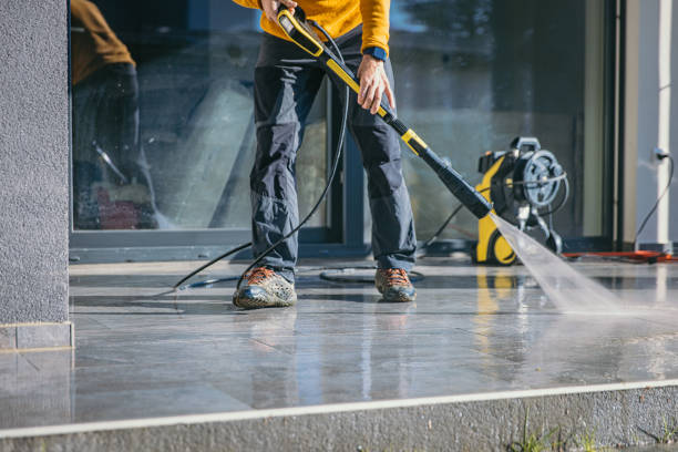 Best Soft Washing  in Rosenhayn, NJ