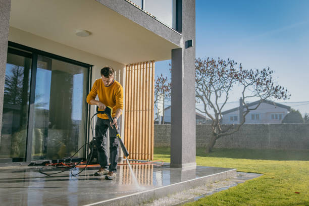 Best Driveway Pressure Washing  in Rosenhayn, NJ