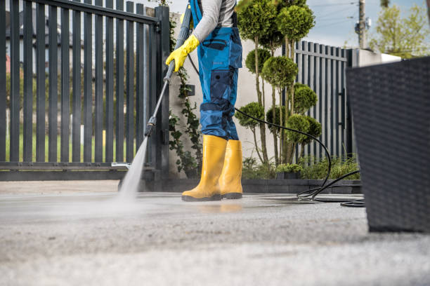 Best Building Exterior Washing  in Rosenhayn, NJ