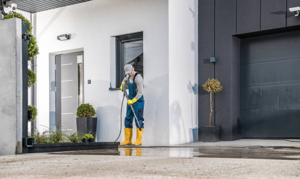 Best Building Exterior Washing  in Rosenhayn, NJ